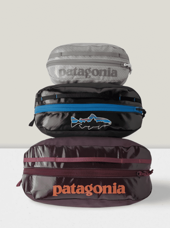 Patagonia Black Hole Packing Cubes